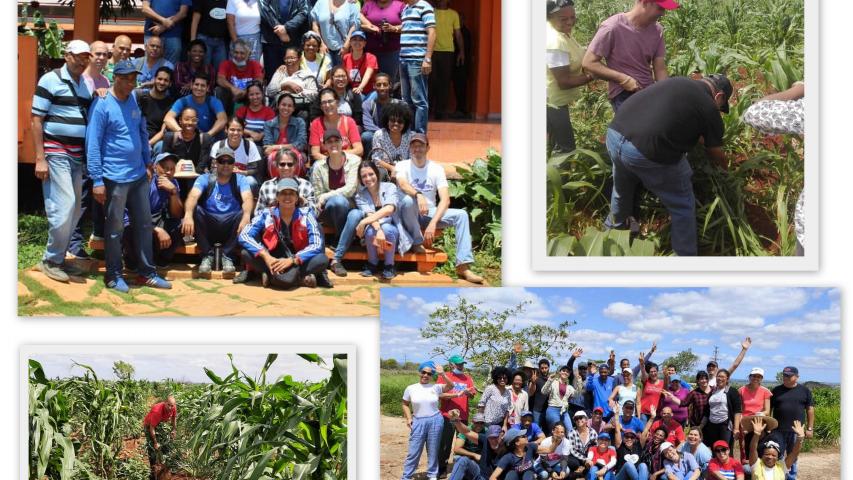 Trabajo voluntario en el en el Campamento del Proyecto Sociocultural Cabildo Quisicuaba