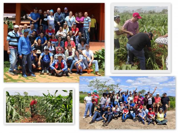 Trabajo voluntario en el en el Campamento del Proyecto Sociocultural Cabildo Quisicuaba