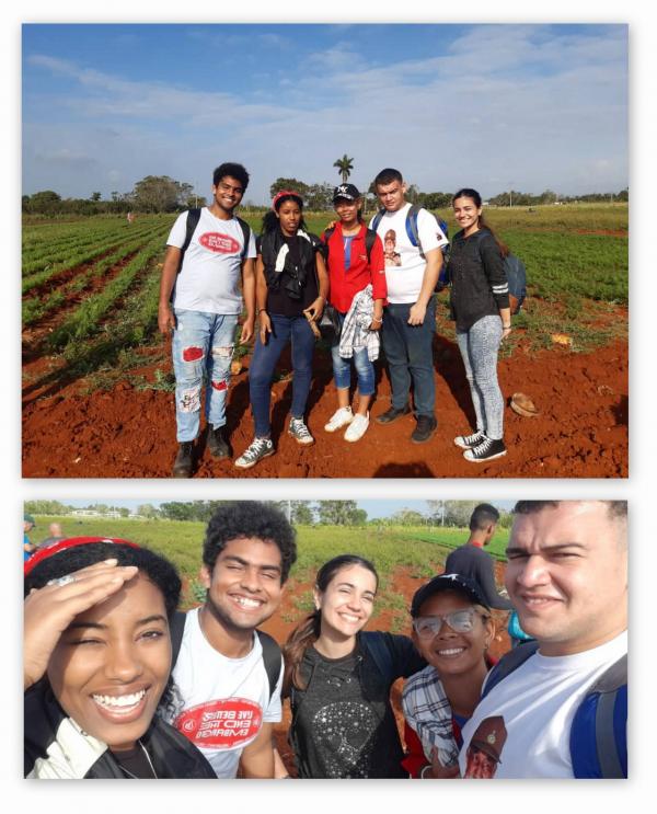 Los jóvenes del ISRI participaron en un trabajo productivo en la Finca "Los Tamarindos", perteneciente al Comité Nacional del PCC.