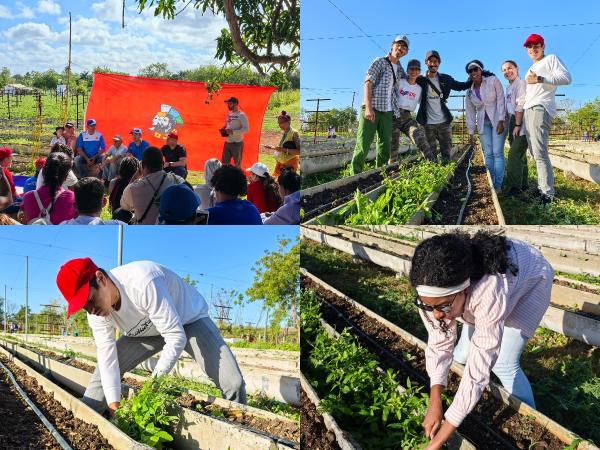 Estudiantes del ISRI participan en trabajo voluntario en Fontanar