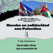 Marcha en  Solidaridad con Palestina este Lunes 7 de Octubre 